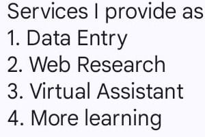 Portfolio for Data Entry,Web Research, Virtual assist