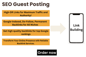 Portfolio for Expert Link Building and SEO Services
