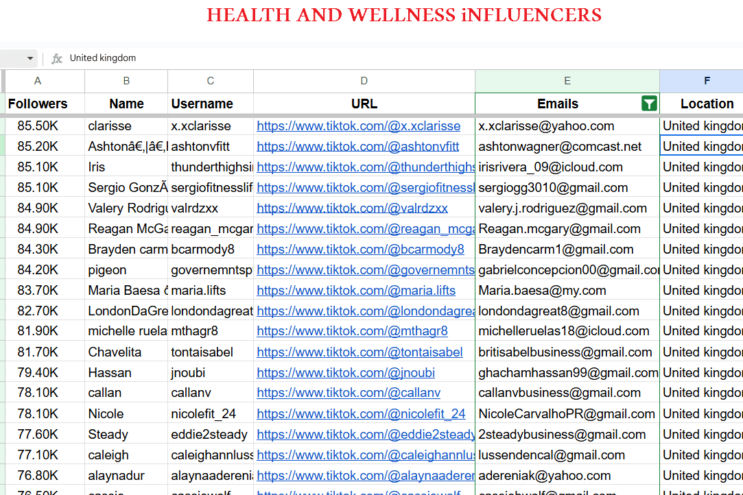 Portfolio for Influencer Marketing/Tiktok Shop Expert