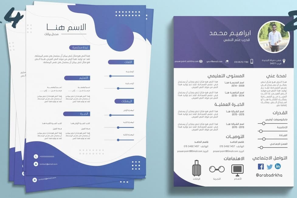 Portfolio for Infographic CV Design