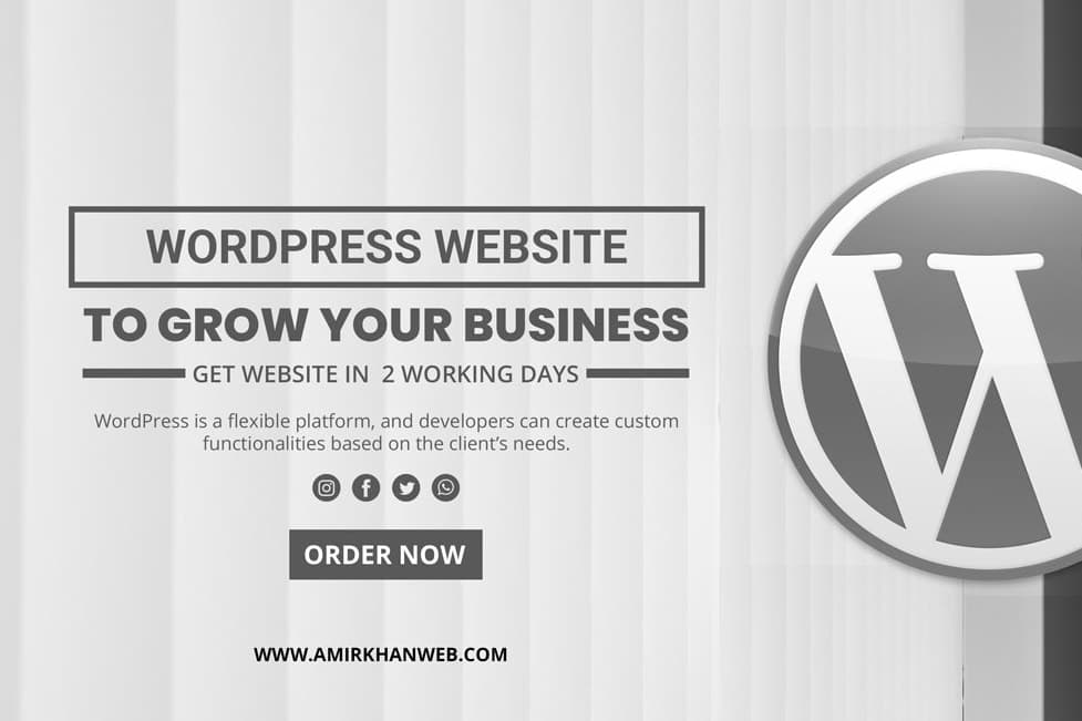 Portfolio for Custom Wordpress Development Services