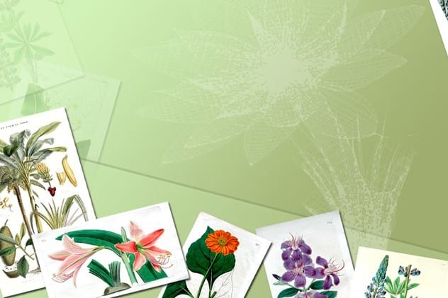 Portfolio for Content Writing, Customer Support