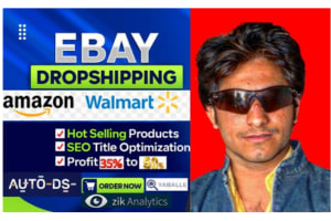 Portfolio for i will do Amazon Walmart to ebay top lis