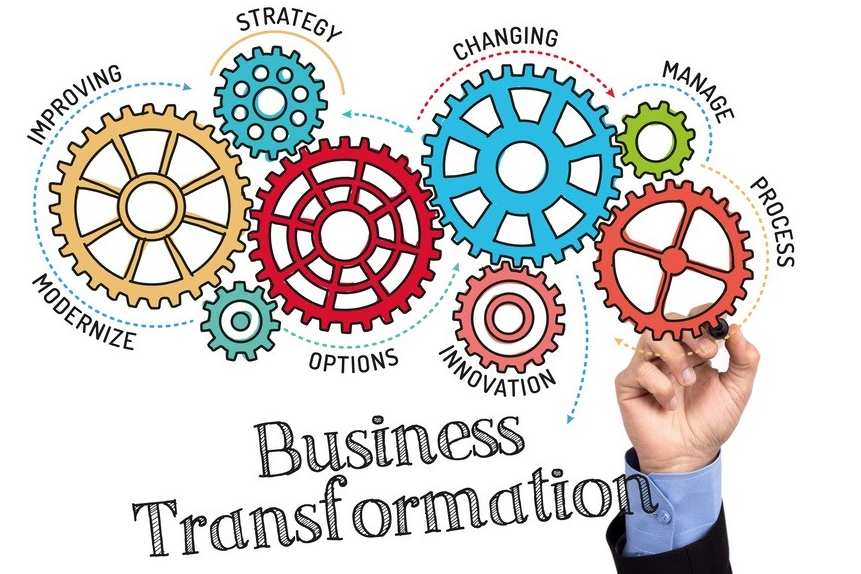 Portfolio for Business Transformation Consulting