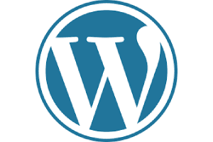 Portfolio for Wordpress Development