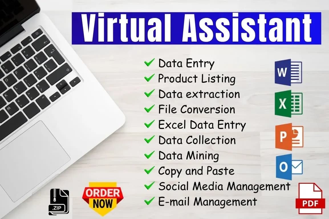 Portfolio for Virtual Assistant as Data Entry