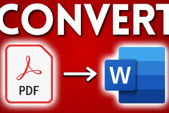Portfolio for Convert pdf to MS Word