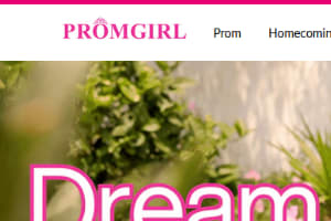 Portfolio for Pay Per Click (PPC)