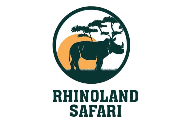 Portfolio for Graphics Designer