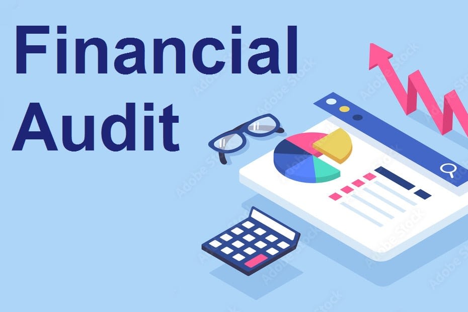 Portfolio for Audit your financial statements