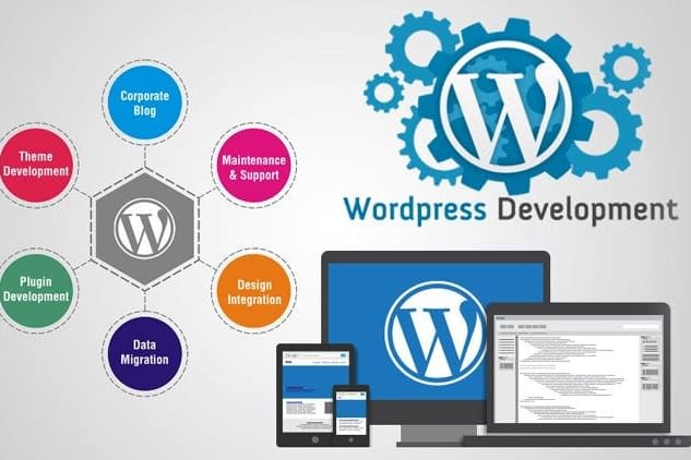Portfolio for WordPress Website Development