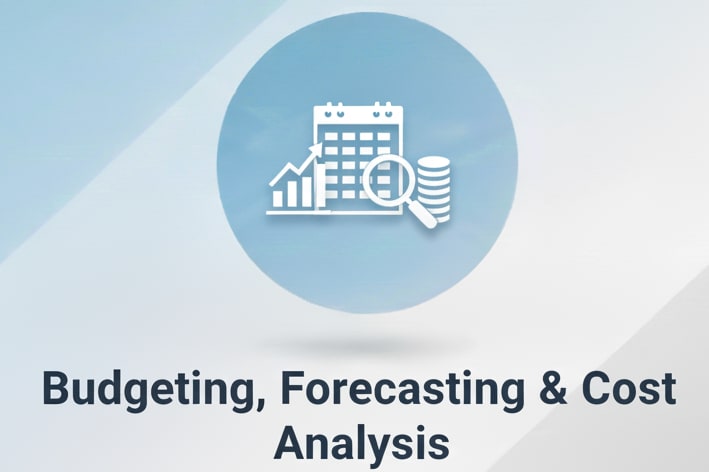 Portfolio for Budgeting, Forecasting & Cost Analysis