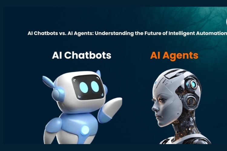 Portfolio for Expert with AI Chatbot & Automation