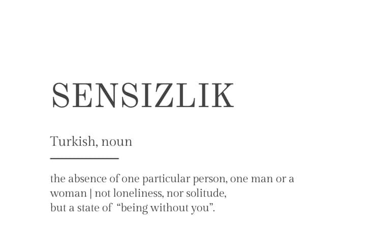 Portfolio for Turkish Translation