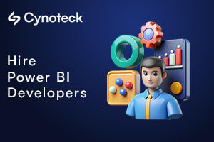 Portfolio for Microsoft Power BI Services