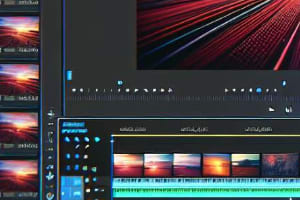 Portfolio for Minecraft Server Developer |Video Editor