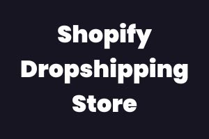 Portfolio for Automated Shopify Dropshipping Store