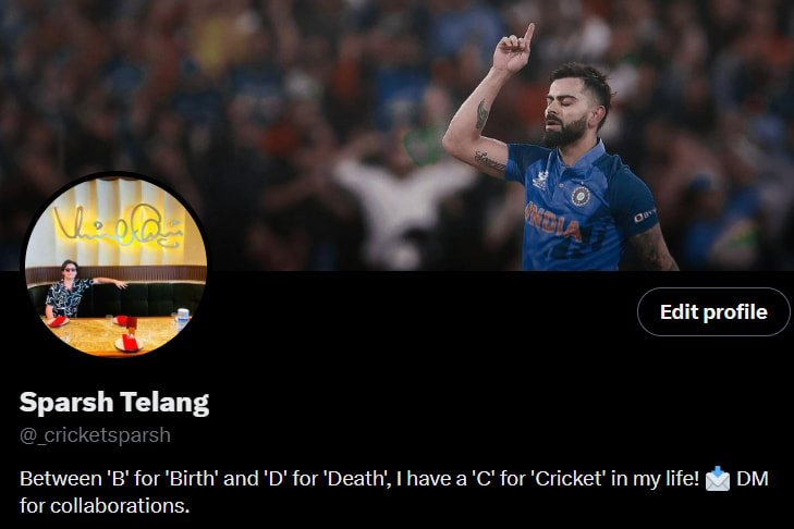 Portfolio for Cricket Analyst and Writer