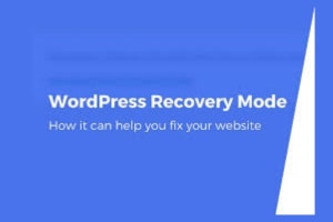 Portfolio for WordPress Recovery