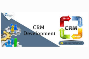 Portfolio for CRM Development