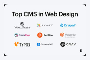 Portfolio for CMS Web Design