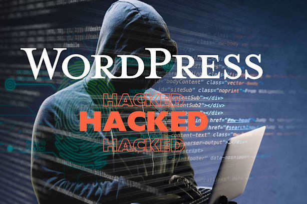 Portfolio for WordPress Recovery