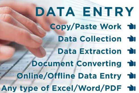 Portfolio for Data entry or data cleaning work