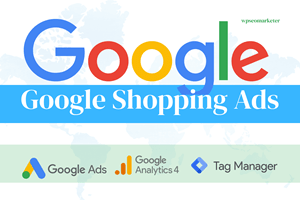 Portfolio for Google Shopping ads campaign