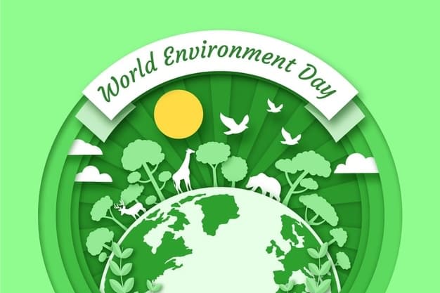 Portfolio for Environmental science