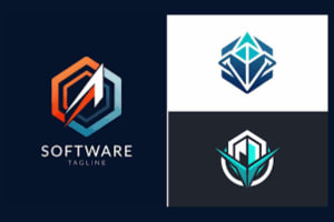 Portfolio for Software Management