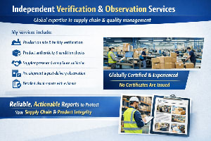 Portfolio for Factory Observation TR