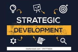 Portfolio for Social Media Strategy