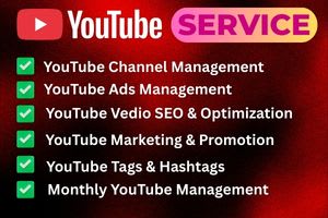 Portfolio for I Will Do YouTube SEO, Video SEO