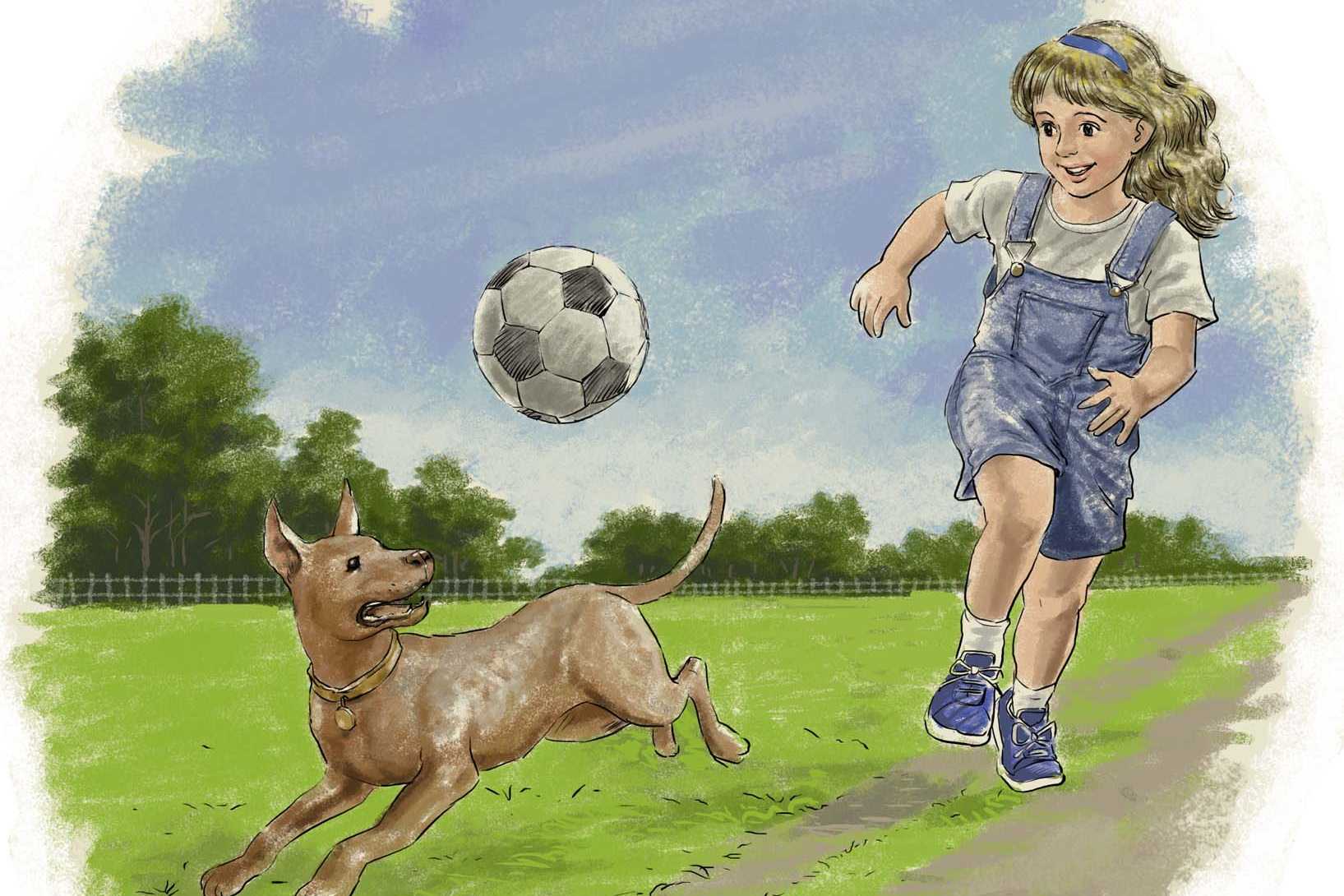 Portfolio for Child Book Illustration