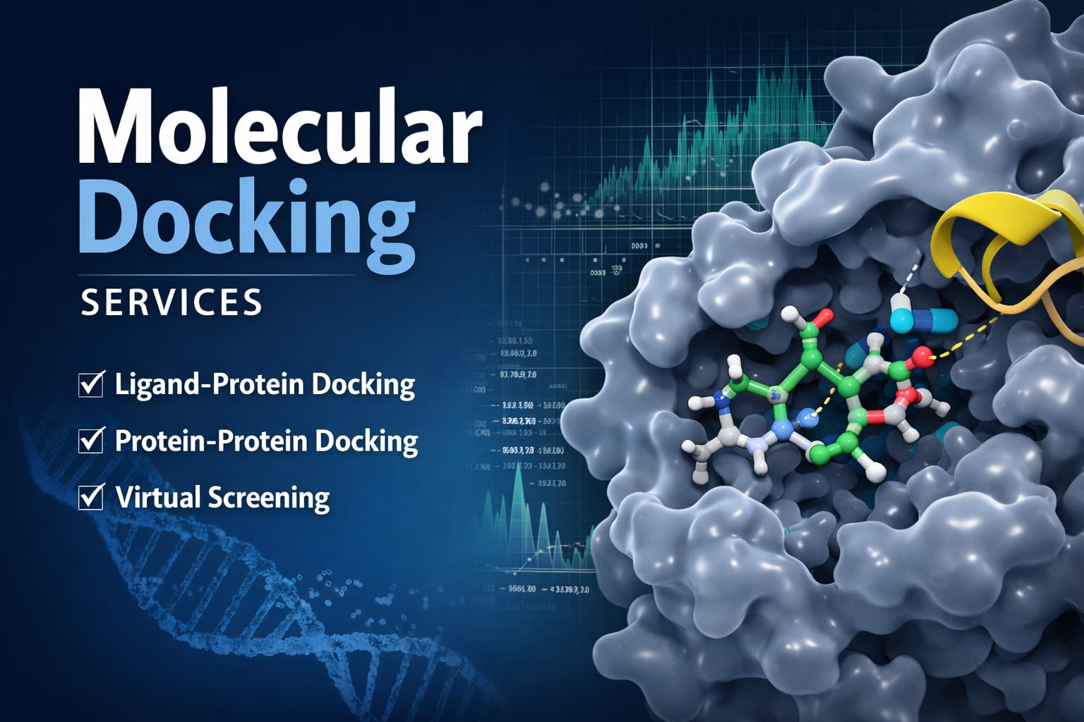 Portfolio for Molecular Docking for drug discovery