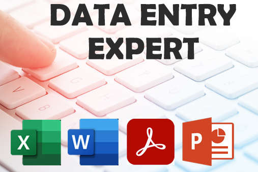 Portfolio for Data Entry Specialist