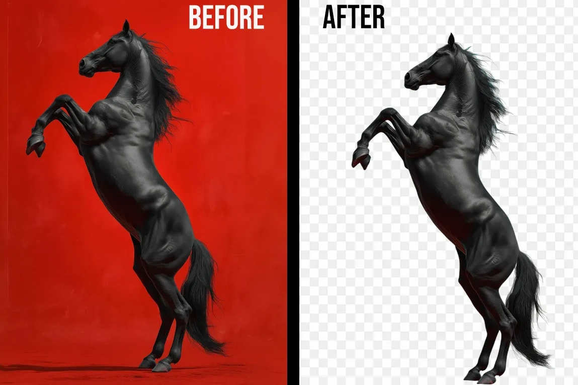Portfolio for Background Removal Service