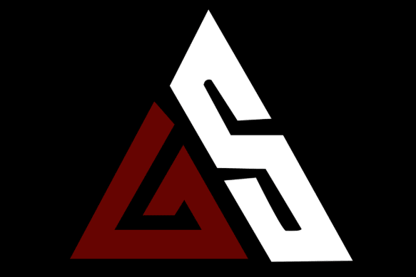 Portfolio for Custom logo design for your brand