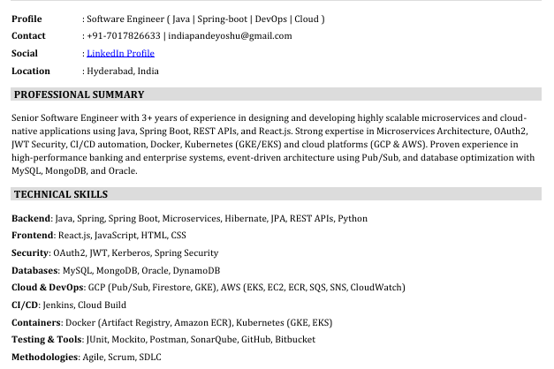 Portfolio for Software Engineer | Language Translator