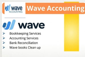 Portfolio for Wave Accounting Freelancer