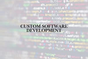 Portfolio for Custom Software Development using AI