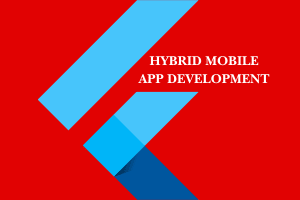 Portfolio for Hybrid Mobile App Development