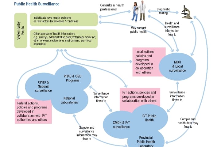Portfolio for EPIDEMIOLOGY AND DISEASE CONTROL CONSULT
