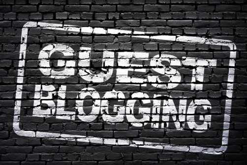 Portfolio for Guest Posting Expert
