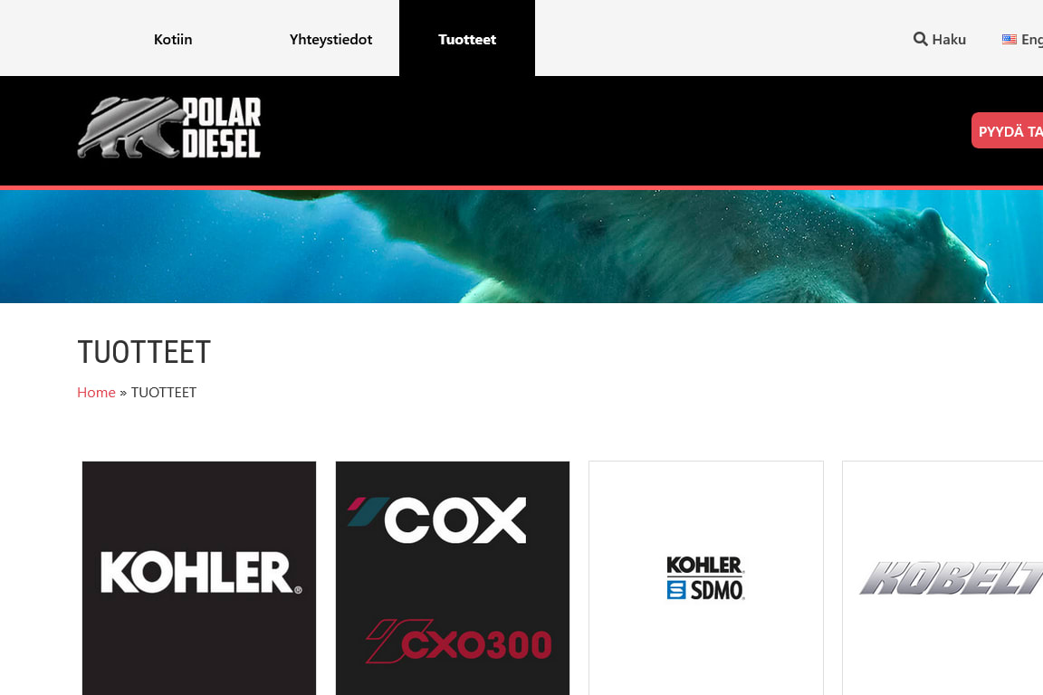 Portfolio for Wordpress design and development