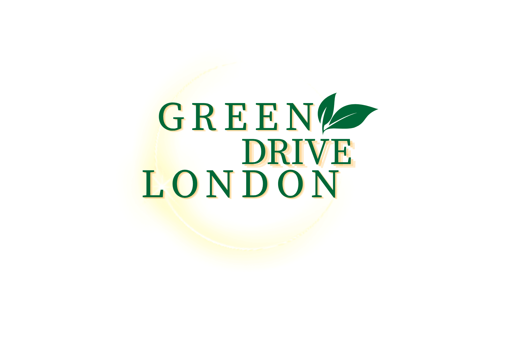 Portfolio for Logo Canva Design