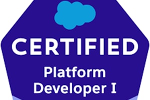 Portfolio for Salesforce developer