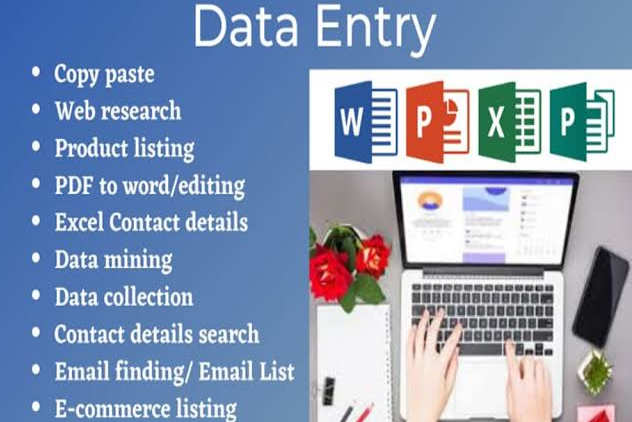 Portfolio for Data Entry, Excel, Web Research and SEO