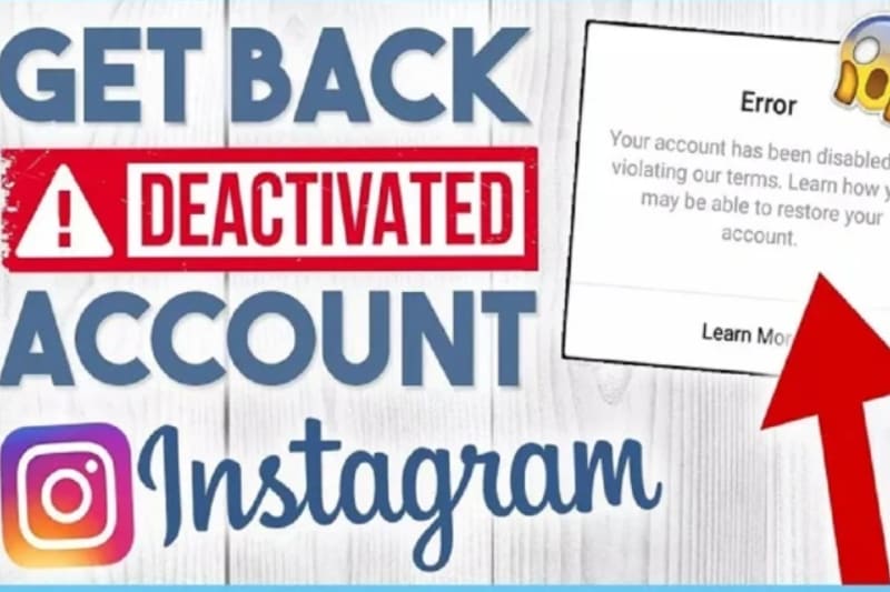 Portfolio for Intagram recover, intagram accessing