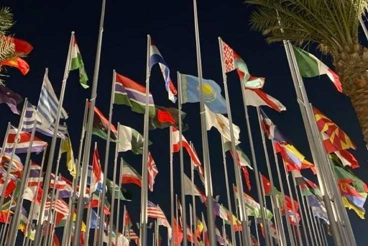 Portfolio for International Trade Analyst